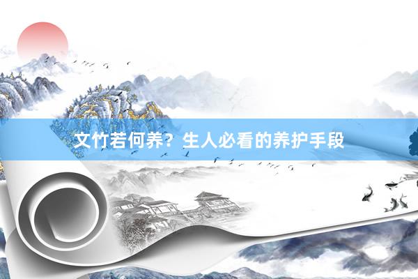 文竹若何养？生人必看的养护手段
