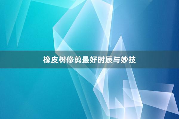 橡皮树修剪最好时辰与妙技