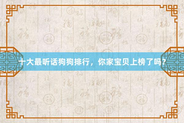 十大最听话狗狗排行，你家宝贝上榜了吗？